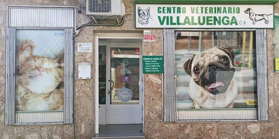 Centro veterinario