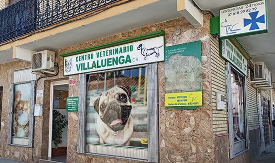 Clínica Veterinaria Villaluenga fachada de veterinaria
