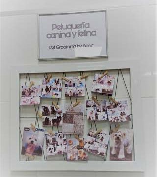 Clínica Veterinaria Villaluenga collage